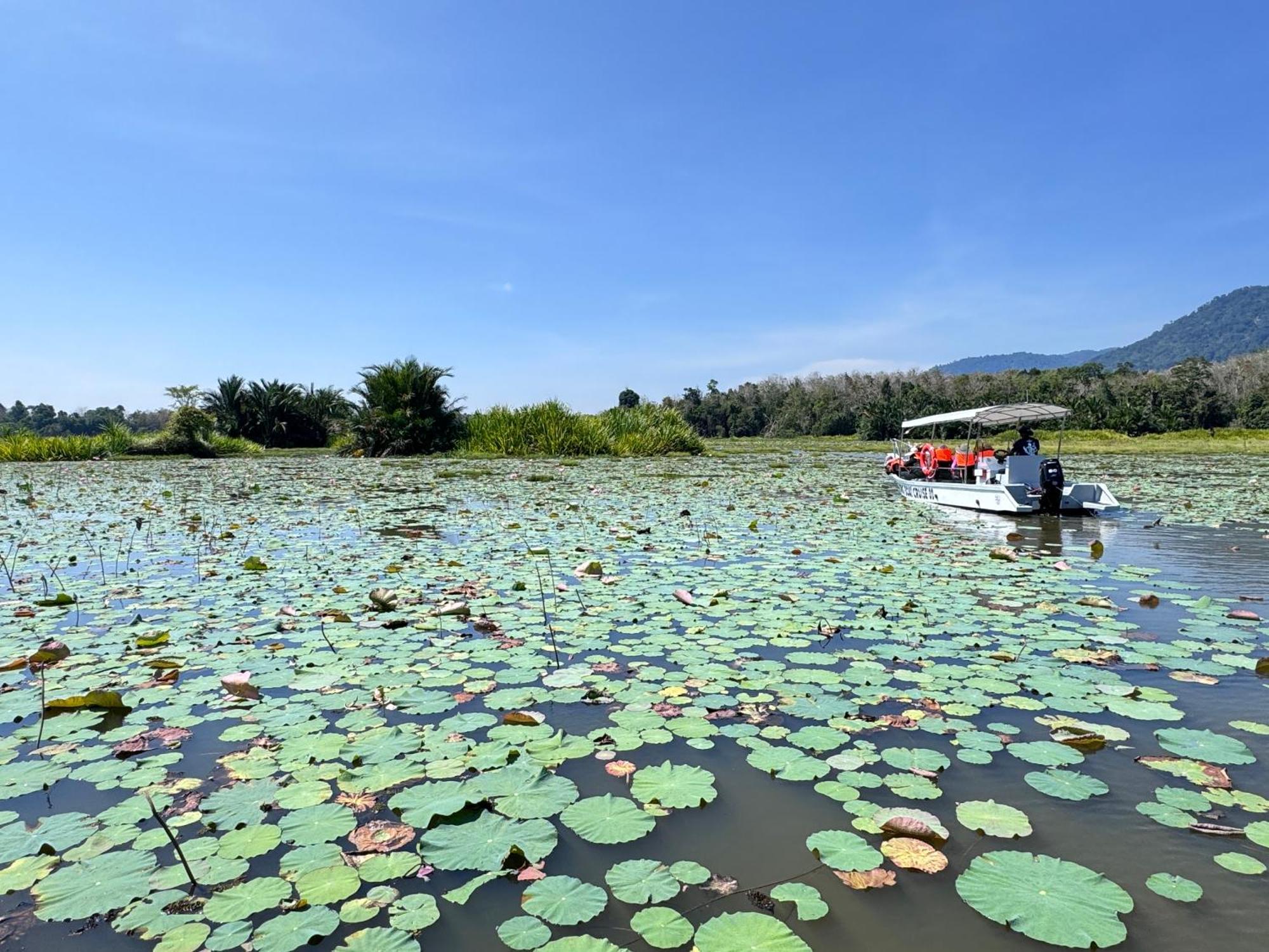 Hotel Branda Kampung Sumpitan Lenggong Tiada Sungai Kampong Ulu Jepai Exterior foto